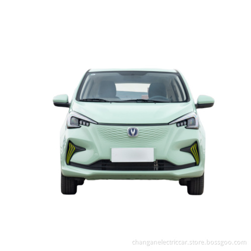 New electric vehicle for household use